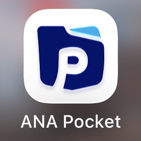【実際どう？】ANAポケットを1年間やった結果がこんな感じ